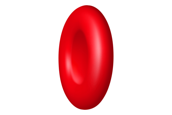 Download Red Blood Cell. Human Biology Education - Biology education Collection